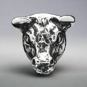 Taurus the Bull Ring