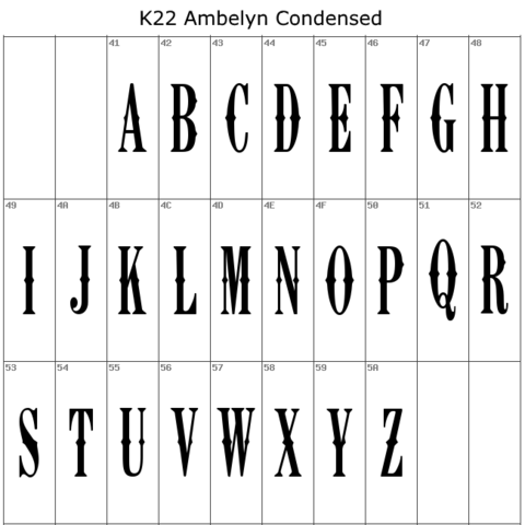 Custom made 2 letter biker rings 2025